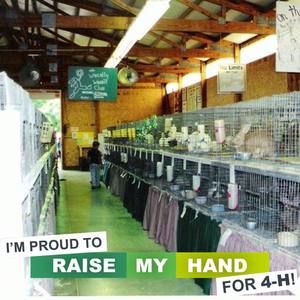 Meet your Posher, Holly